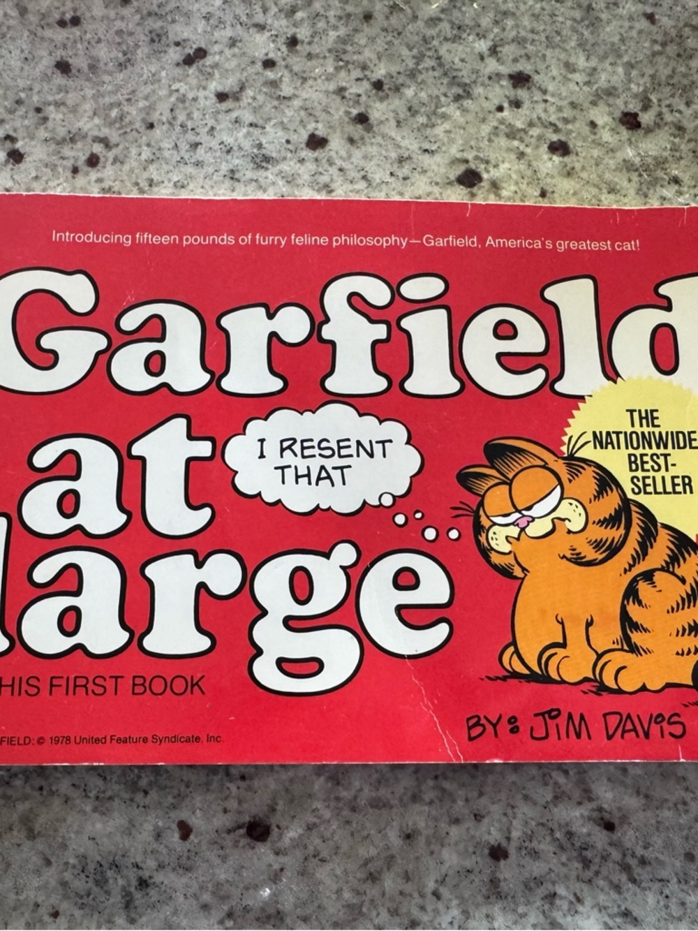 Garfield At Large Book - Red Cover